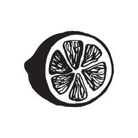 Cute single hand drawn lemon for menu or recipe. Doodle vector illustration. Fresh and tasty.