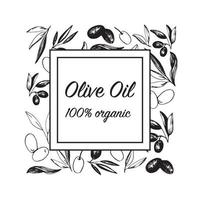 Olives arrangements in vector