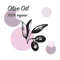 Olives arrangements in vector