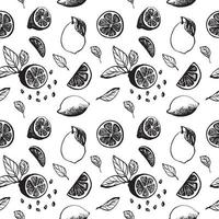 Cute hand drawn pattern with slices lemon with leaves and seeds for menu or recipe. Doodle vector illustration. Fresh and tasty.