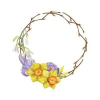 Watercolor hand drawn circle wreath with spring flowers, daffodils, crocus, snowdrops, branches Isolated on white background Design for invitations, wedding, greeting cards, wallpaper, print, textile. vector