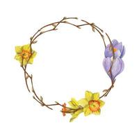 Watercolor hand drawn circle wreath with spring flowers, daffodils, crocus, snowdrops, branches Isolated on white background Design for invitations, wedding, greeting cards, wallpaper, print, textile. vector