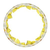 Watercolor hand drawn circle wreath with spring flowers, daffodils, crocus, snowdrops, leaves. Isolated on white background. Design for invitations, wedding, greeting cards, wallpaper, print, textile. vector