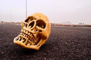 Skull miniature on the road photo