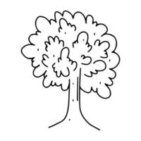 Tree in hand drawn doodle style. Vector illustration on a white background.