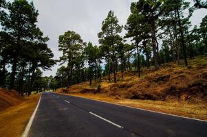 Scenic road view photo