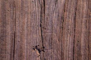 textura de madera de fondo foto