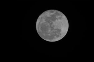 vista cercana de la luna foto