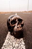 Skull on the ground photo