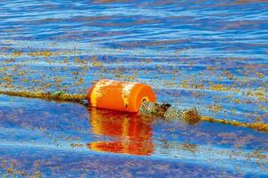 Blue water waves and ocean with buoy and ropes Mexico. photo