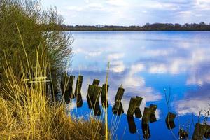 Lake river water natural landscape on sunny day in Germany. photo