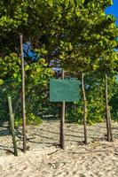 Green turquoise blank sign for labeling on beach nature Mexico. photo