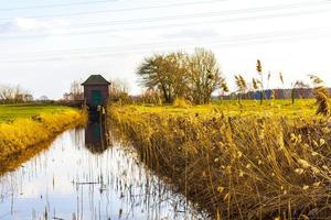 Lake river water on sunny day in natural landscape Germany. photo