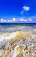 Tropical mexican beach clear turquoise water Playa del Carmen Mexico. photo