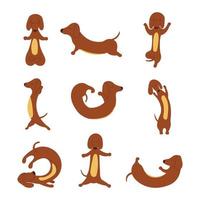 Set Dachshund practices yoga and meditates. Vector cartoon