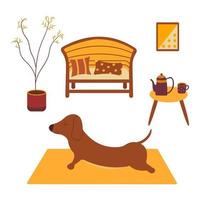 dachshund practica yoga en la habitación. dibujos animados de vectores