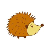 Cute hedgehog colorful doodle illustration vector