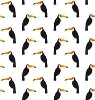 Vector seamless pattern of toucan