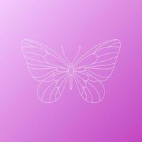 Cute vector butterfly detailed tattoo sketch isolated