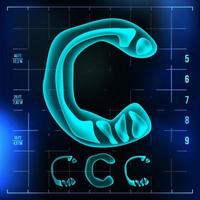 C Letter Vector. Capital Digit. Roentgen X-ray Font Light Sign. Medical Radiology Neon Scan Effect. Alphabet. 3D Blue Light Digit With Bone. Medical, Hospital, Futuristic, Horror Style. Illustration vector