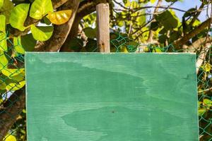 Green turquoise blank sign for labeling on beach nature Mexico. photo