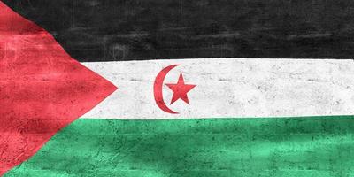 Western Sahara flag - realistic waving fabric flag photo