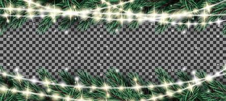 Fir Branch with Neon Lights on Transparent Background. vector