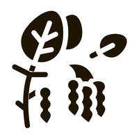 soja planta icono vector glifo ilustración