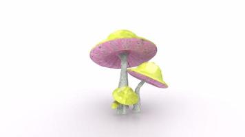 Mushroom isolated on background video