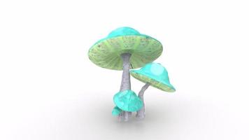 Mushroom isolated on background video