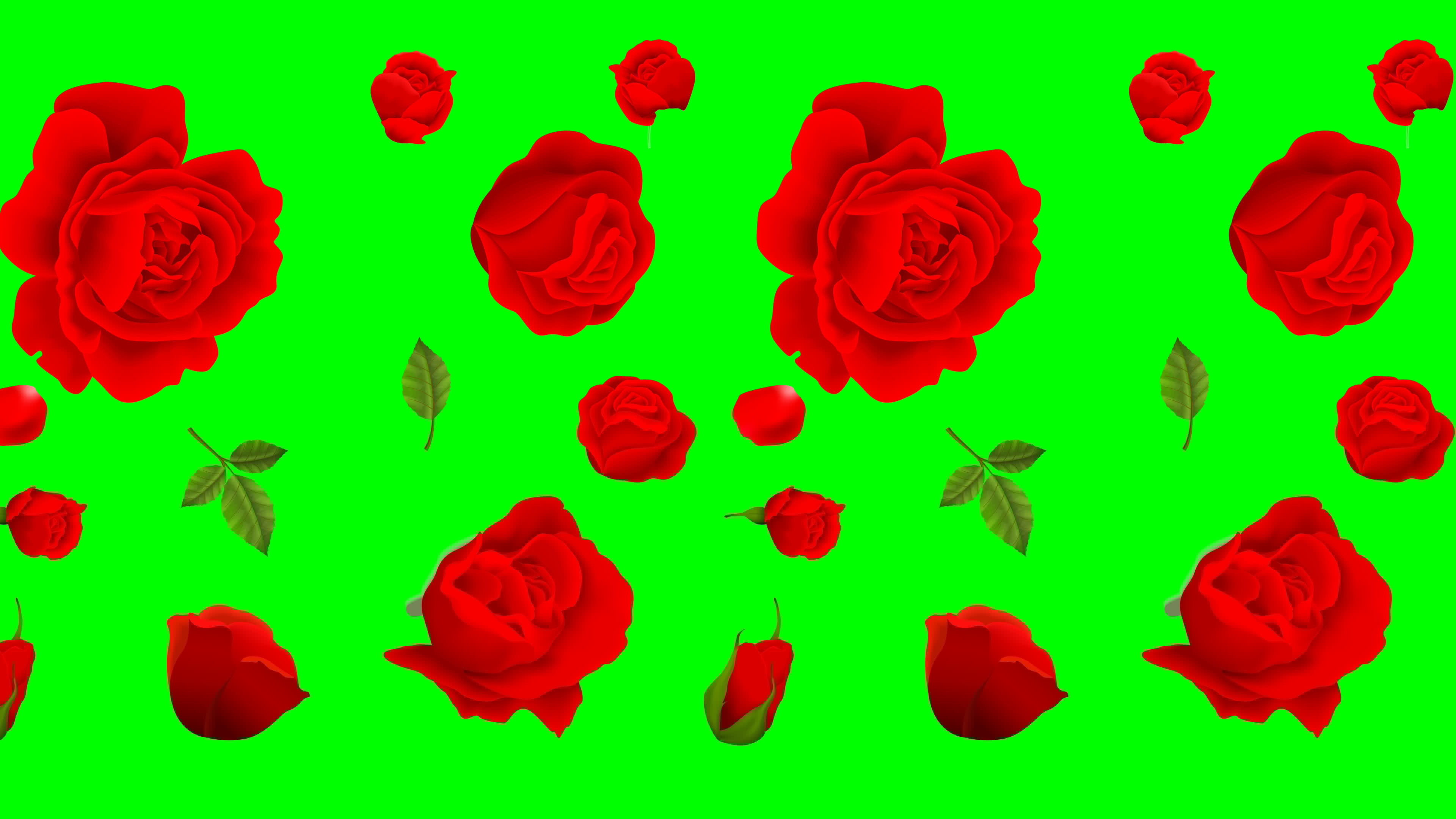 Flowers Green Screen Stock Video Footage for Free Download