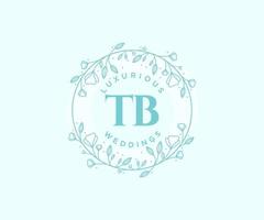 TB Initials letter Wedding monogram logos template, hand drawn modern minimalistic and floral templates for Invitation cards, Save the Date, elegant identity. vector