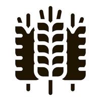 spikelets of wheat icon Vector Glyph Illustration