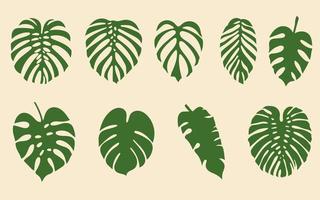 Tropical Palm Green Branch Leaves set collection vector