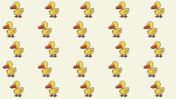 Duck line up in a row video