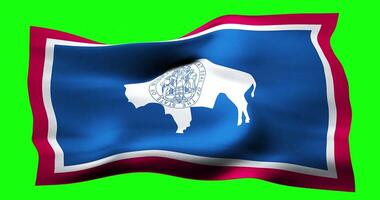 Flag of Wyoming realistic waving on green screen. Seamless loop animation with high quality video