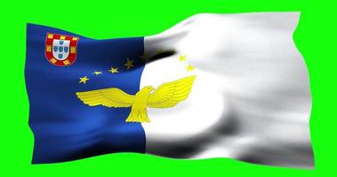 Flag of Azores realistic waving on green screen. Seamless loop animation with high quality video