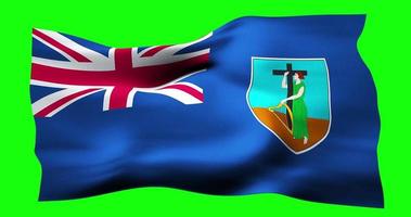 Flag of Montserrat realistic waving on green screen. Seamless loop animation with high quality video