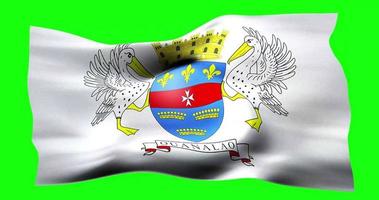 Flag of Saint Barthelemy realistic waving on green screen. Seamless loop animation with high quality video