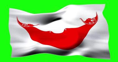 drapeau du chili rapa nui agitant de manière réaliste sur un écran vert. animation en boucle parfaite de haute qualité video