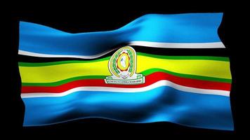 bandera de la comunidad del este de África ondeando de forma realista sobre un fondo transparente. animación en bucle sin interrupciones con alta calidad video