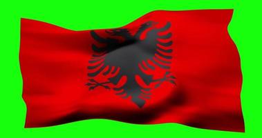 Flag of Albania realistic waving on green screen. Seamless loop animation with high quality video