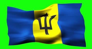 Flag of Barbados realistic waving on green screen. Seamless loop animation with high quality video