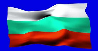 Flag of Bulgaria realistic waving on blue screen. Seamless loop animation with high quality video