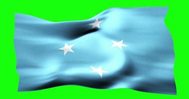 Flag of Federated States of Micronesia realistic waving on green screen. Seamless loop animation with high quality video