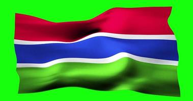 Flag of Gambia realistic waving on green screen. Seamless loop animation with high quality video