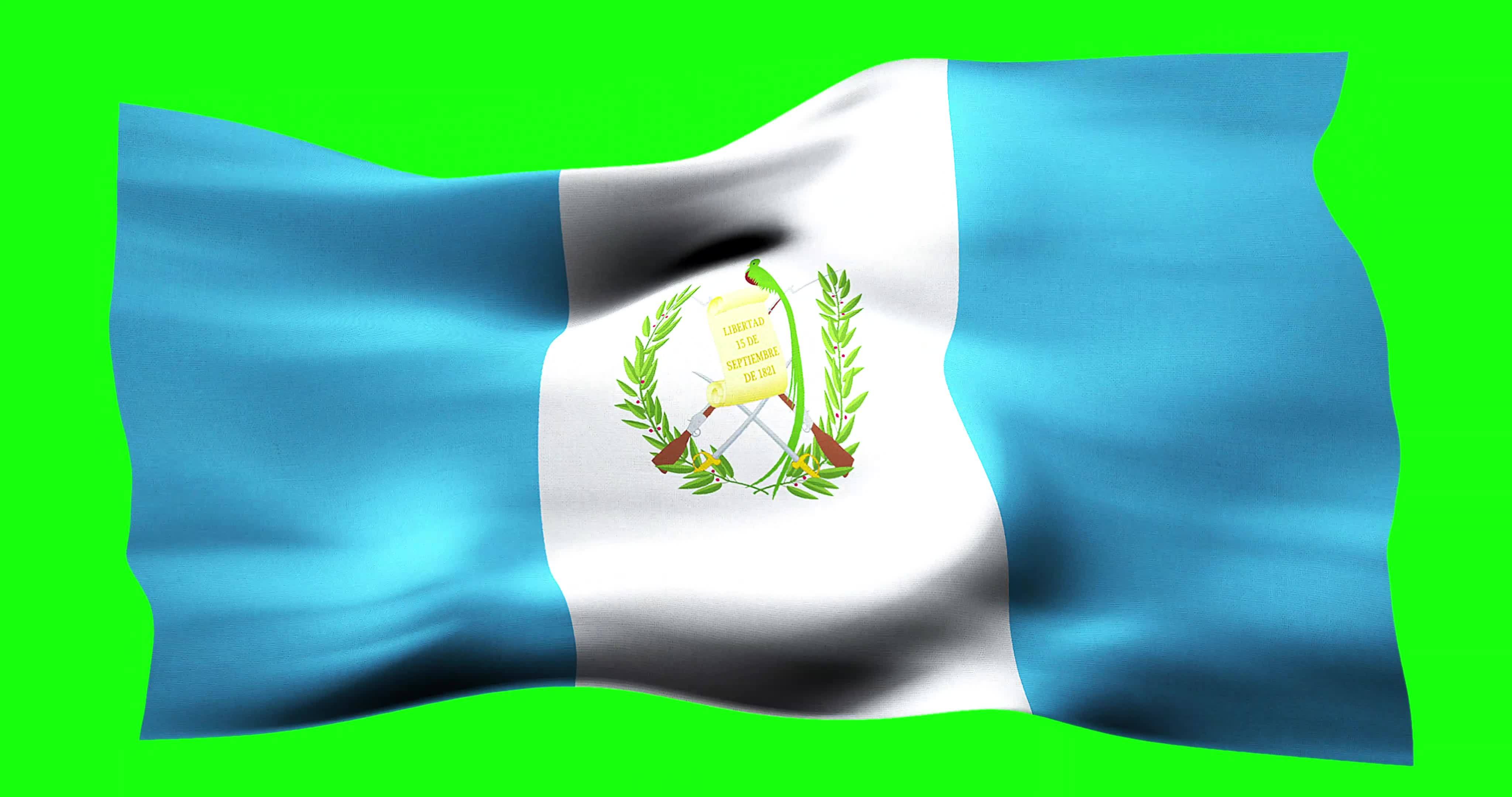 Flag of Guatemala realistic waving on green screen. Seamless loop