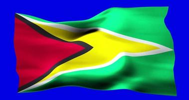 Flag of Guyana realistic waving on blue screen. Seamless loop animation with high quality video