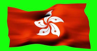 Flag of Hong Kong realistic waving on green screen. Seamless loop animation with high quality video