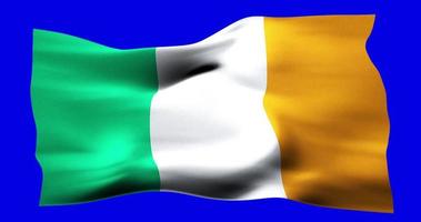 Flag of Ireland realistic waving on blue screen. Seamless loop animation with high quality video